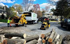 Lawn Maintenance Plans in Los Ranchos De Albuquerque, NM
